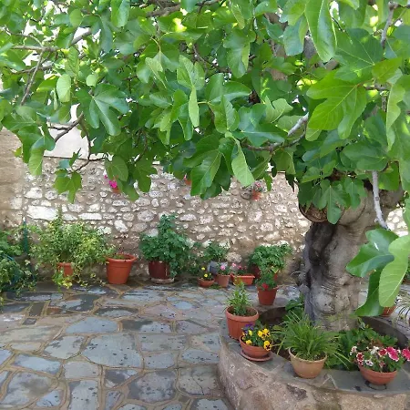 Rurales Tía María *
