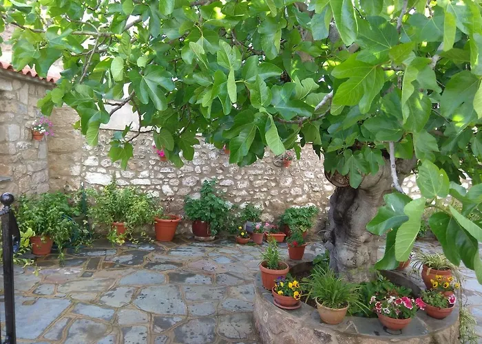 Rurales Tía María *